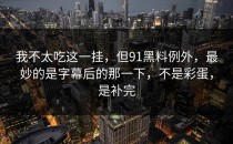 我不太吃这一挂，但91黑料例外，最妙的是字幕后的那一下，不是彩蛋，是补完
