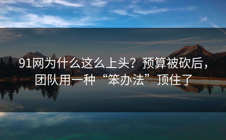 91网为什么这么上头？预算被砍后，团队用一种“笨办法”顶住了  第1张