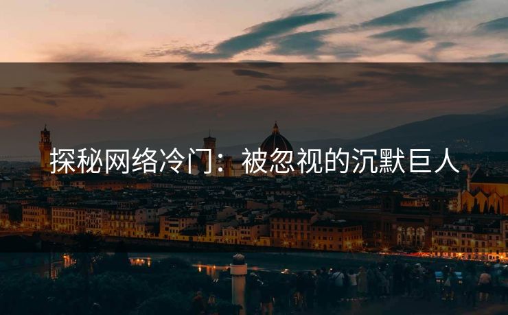 探秘网络冷门：被忽视的沉默巨人  第1张