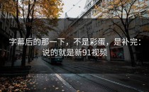 字幕后的那一下，不是彩蛋，是补完：说的就是新91视频