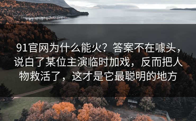 91官网为什么能火？答案不在噱头，说白了某位主演临时加戏，反而把人物救活了，这才是它最聪明的地方  第1张