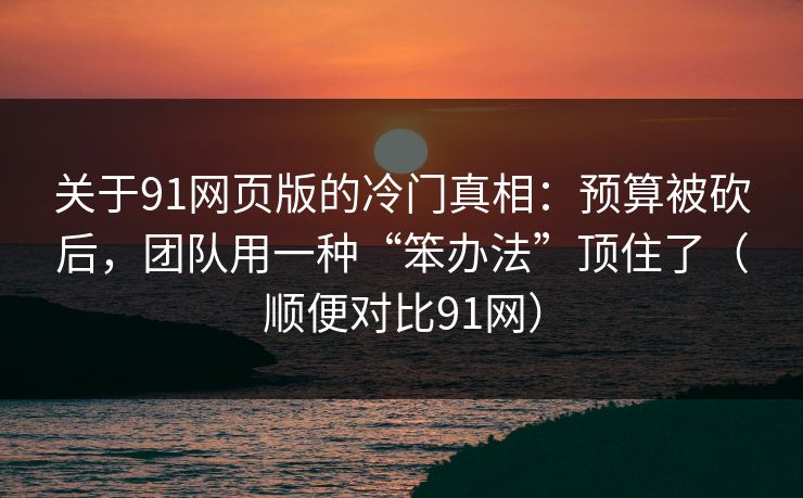 关于91网页版的冷门真相：预算被砍后，团队用一种“笨办法”顶住了（顺便对比91网）