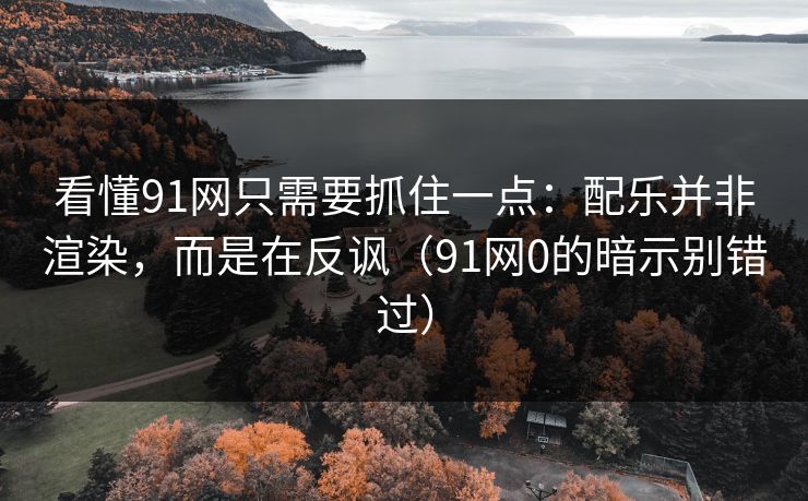 看懂91网只需要抓住一点：配乐并非渲染，而是在反讽（91网0的暗示别错过）