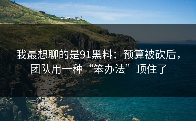 我最想聊的是91黑料：预算被砍后，团队用一种“笨办法”顶住了